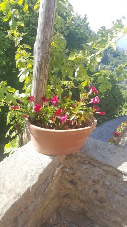 La Del Podestà Cinque Terre 2* La Spezia